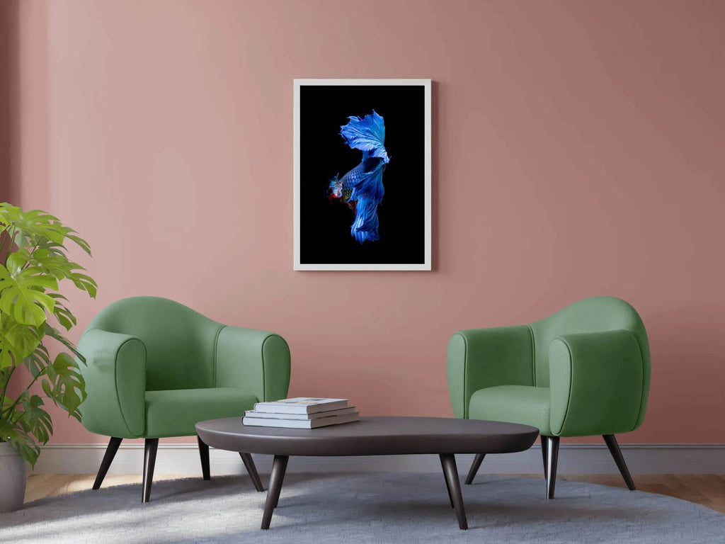 Siamese Fighting Fish Animal Wall Art - beink online art store