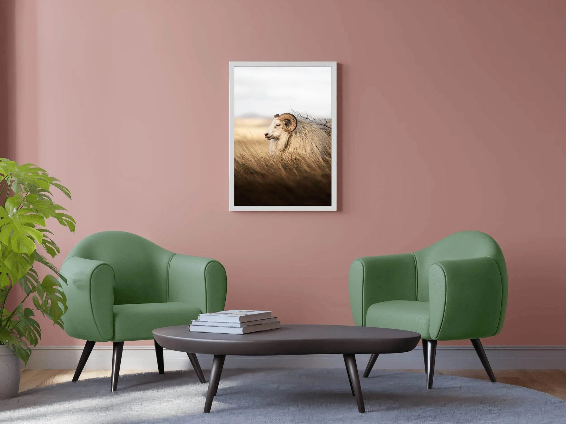 Icelandic Sheep Animal Wall Art - beink online art store