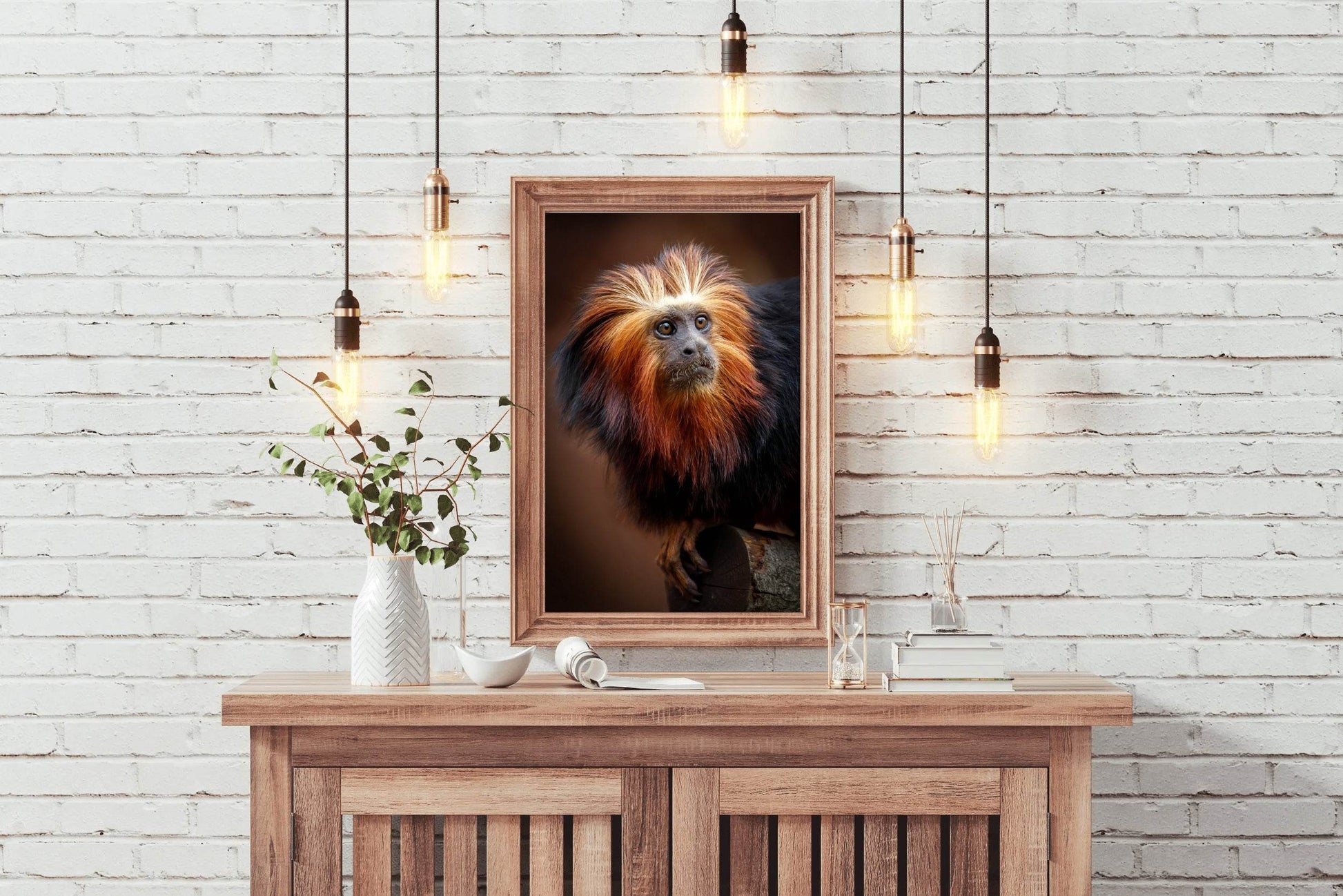 Golden Marmoset Monkey Wall Art - beink online art store