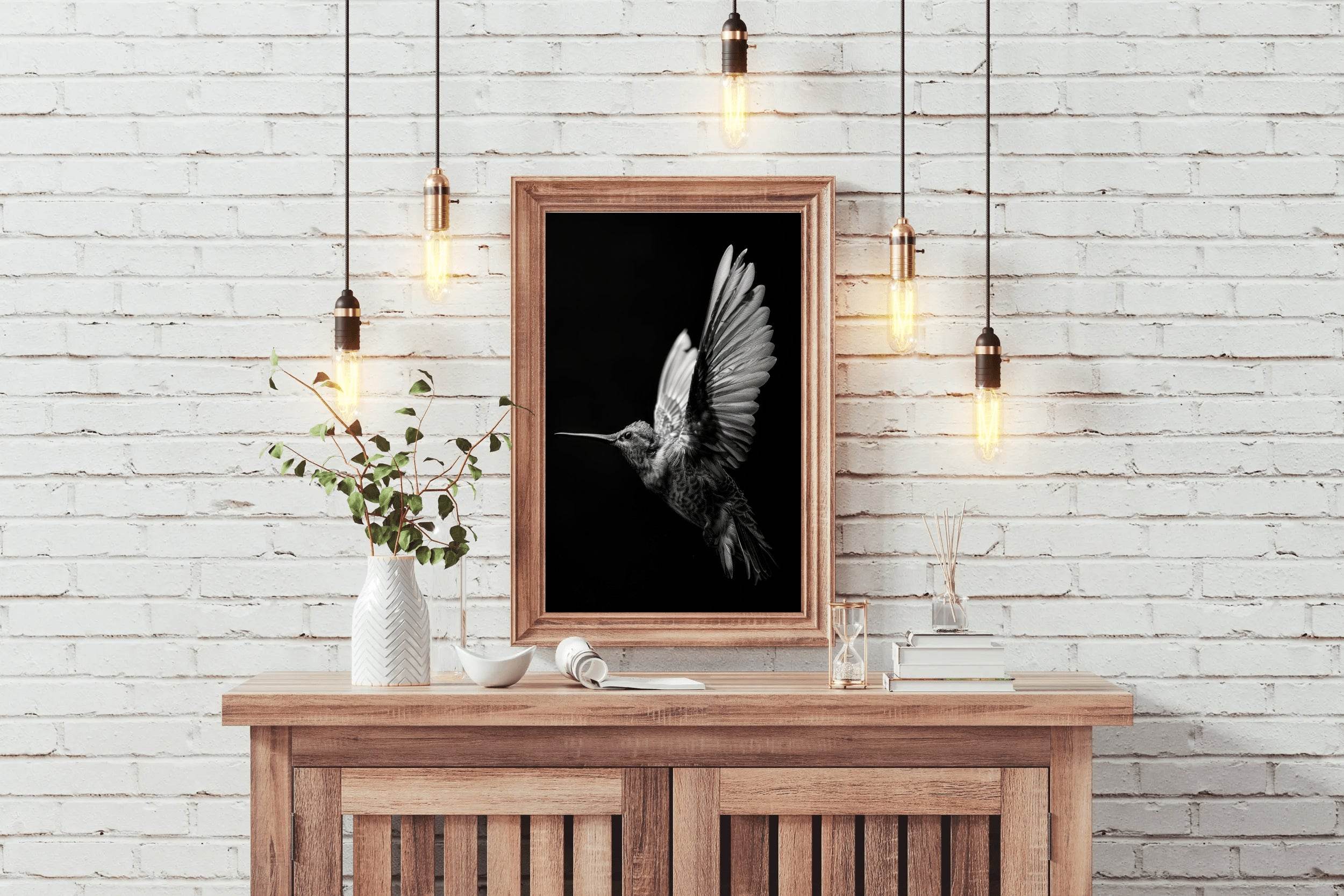 Hummingbird Black & White Wall Art - beink online art store