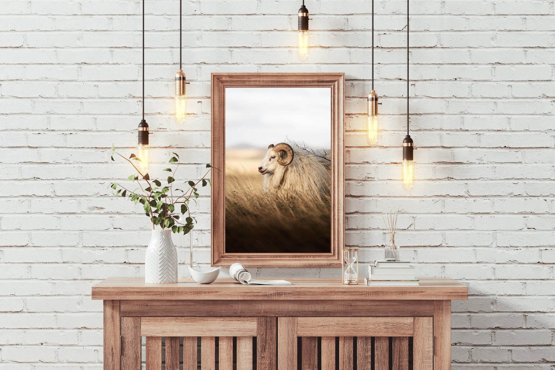 Icelandic Sheep Animal Wall Art - beink online art store