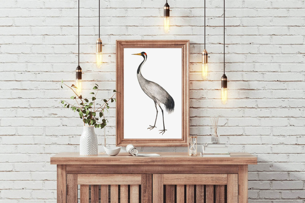 Vintage Style Common Crane Wall Art - beink online art store
