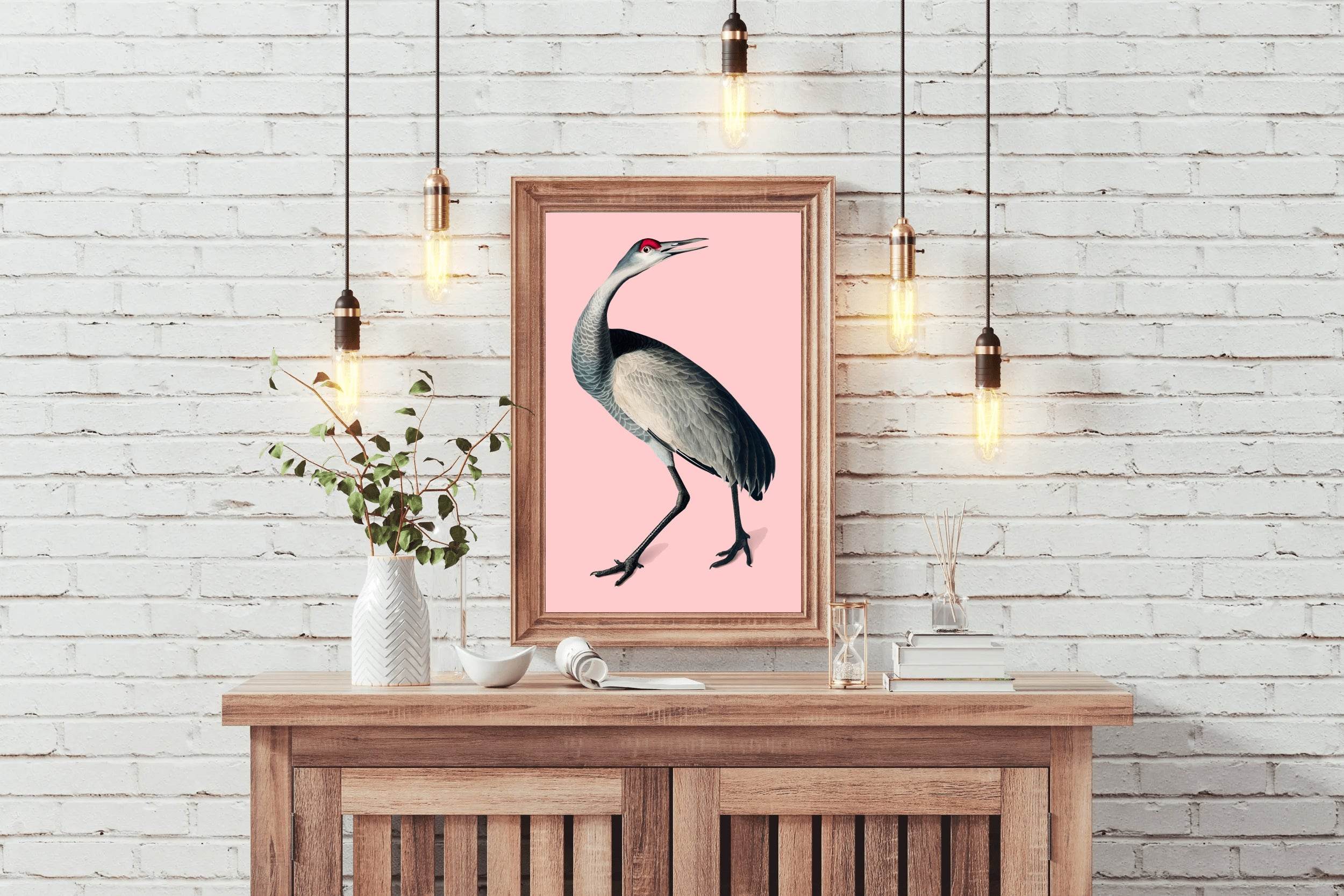 Florida Sandhill Crane Wall Art - beink online art store