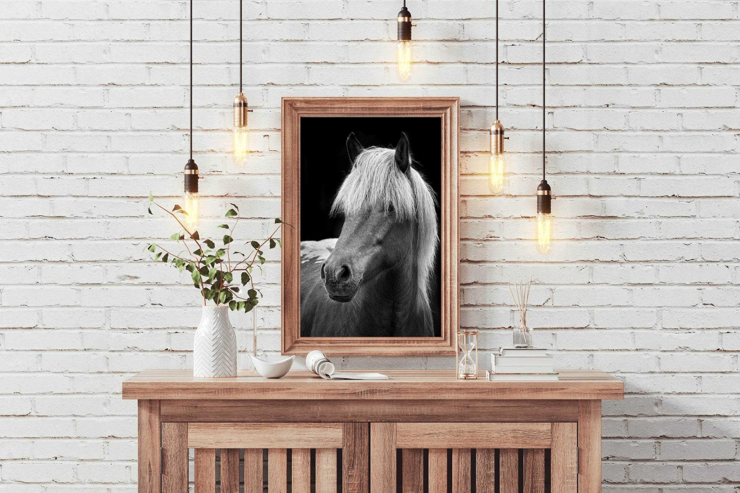 Icelandic Horse Black & White Wall Art - beink online art store