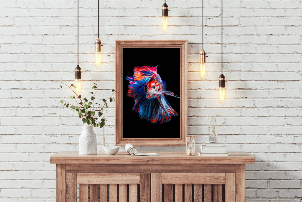 Siamese Fighting Fish Wall Art - beink online art store