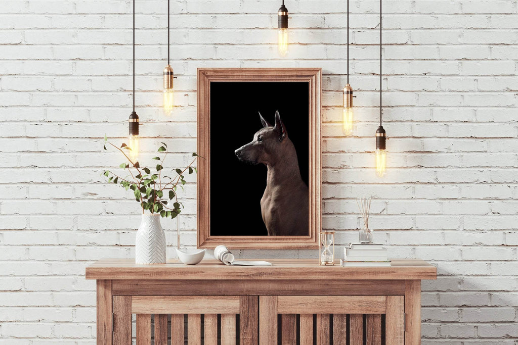 Peruvian Inca Orchid Animal Wall Art - beink online art store