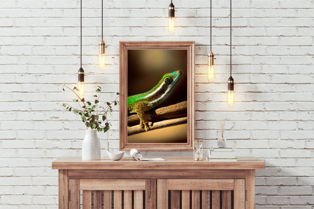 Phelsuma Lineata Reptile Animal Wall Art - beink online art store