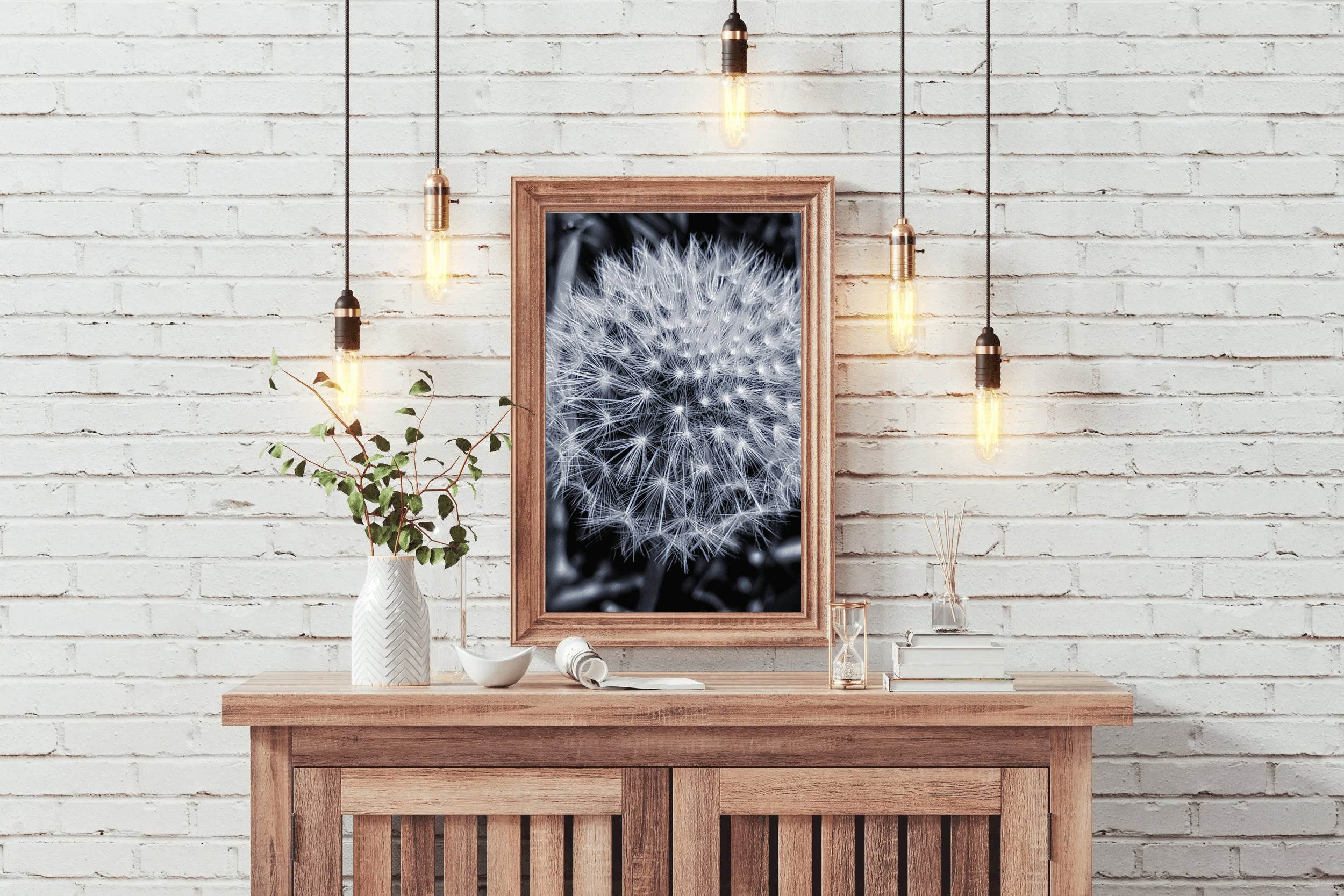 Common Dandelion Black & White Wall Art - beink online art store