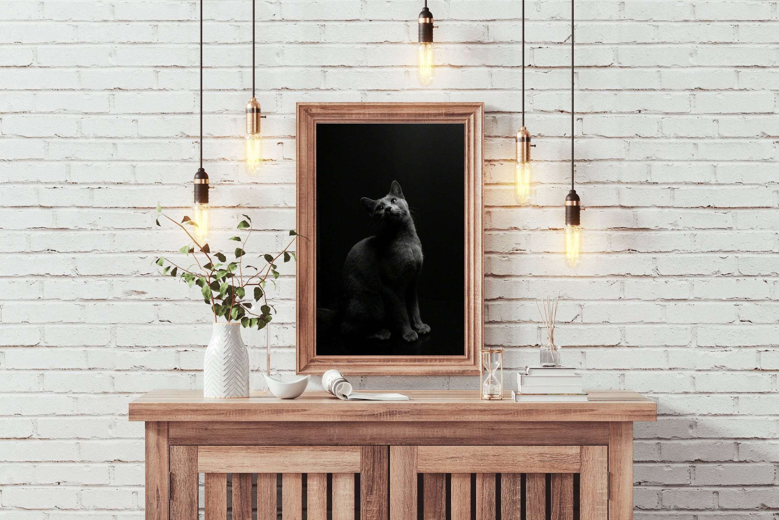 Russian Blue Cat Black & White Wall Art - beink online art store