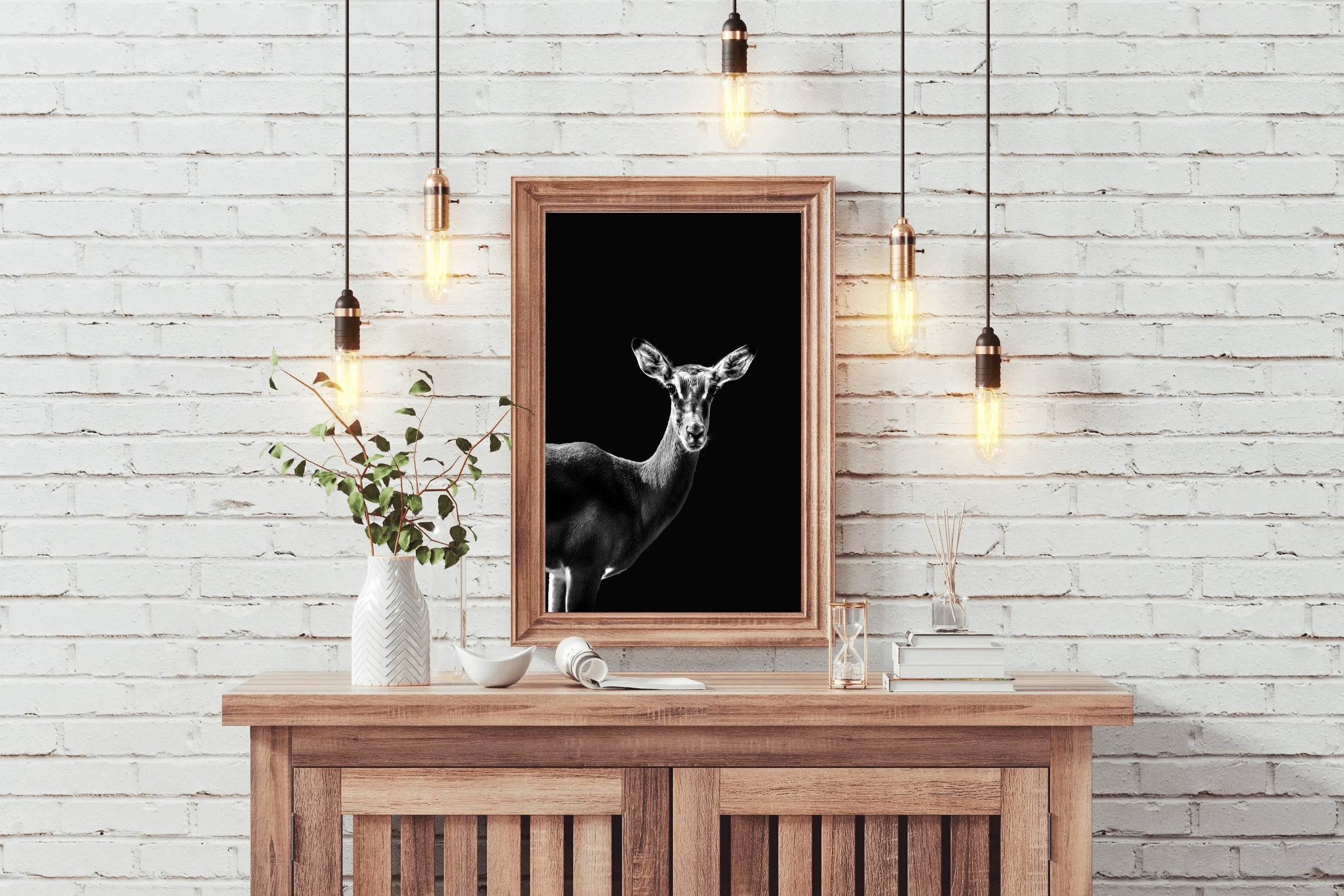 Impala Black and White Wall Art - beink online art store