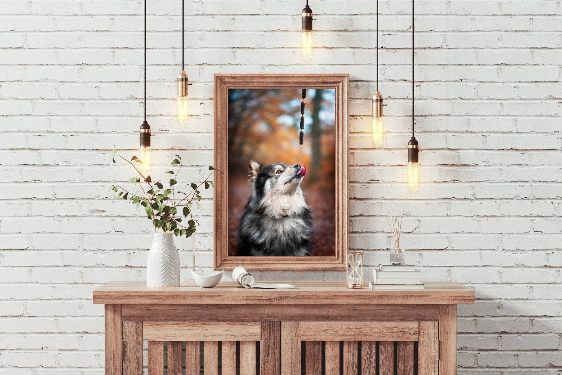 Finnish Lapphund Animal Wall Art - beink online art store