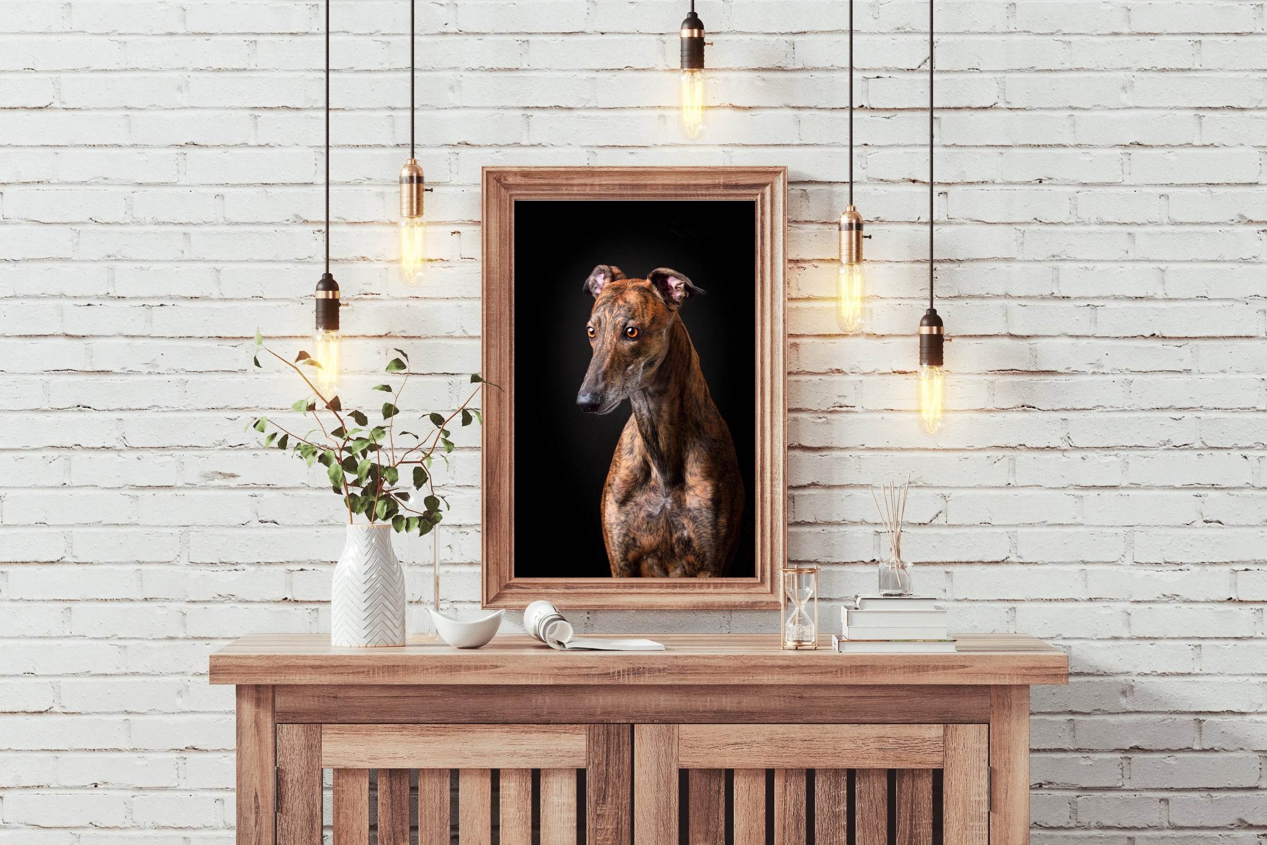 Greyhound Animal Wall Art - beink online art store