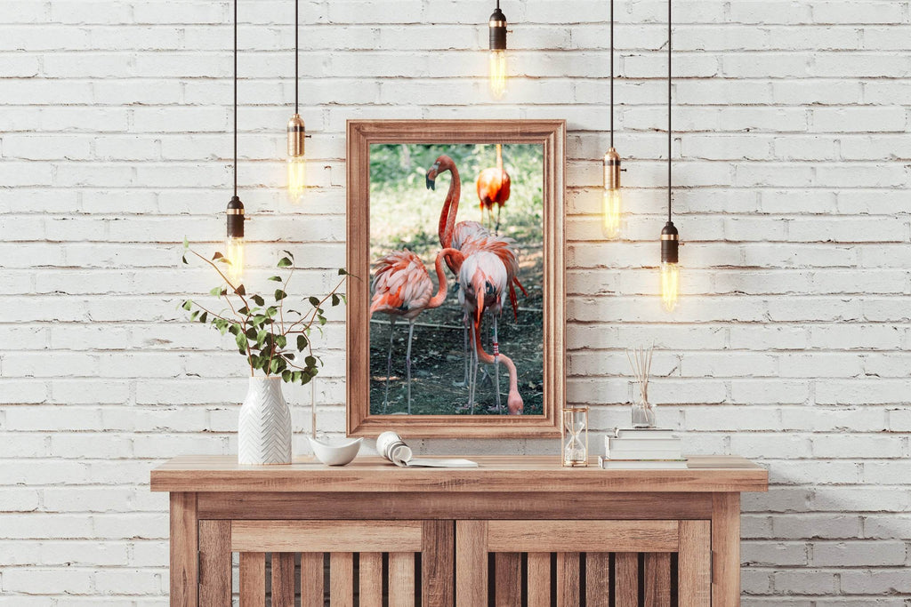 American Flamingo Animal Wall Art - beink online art store