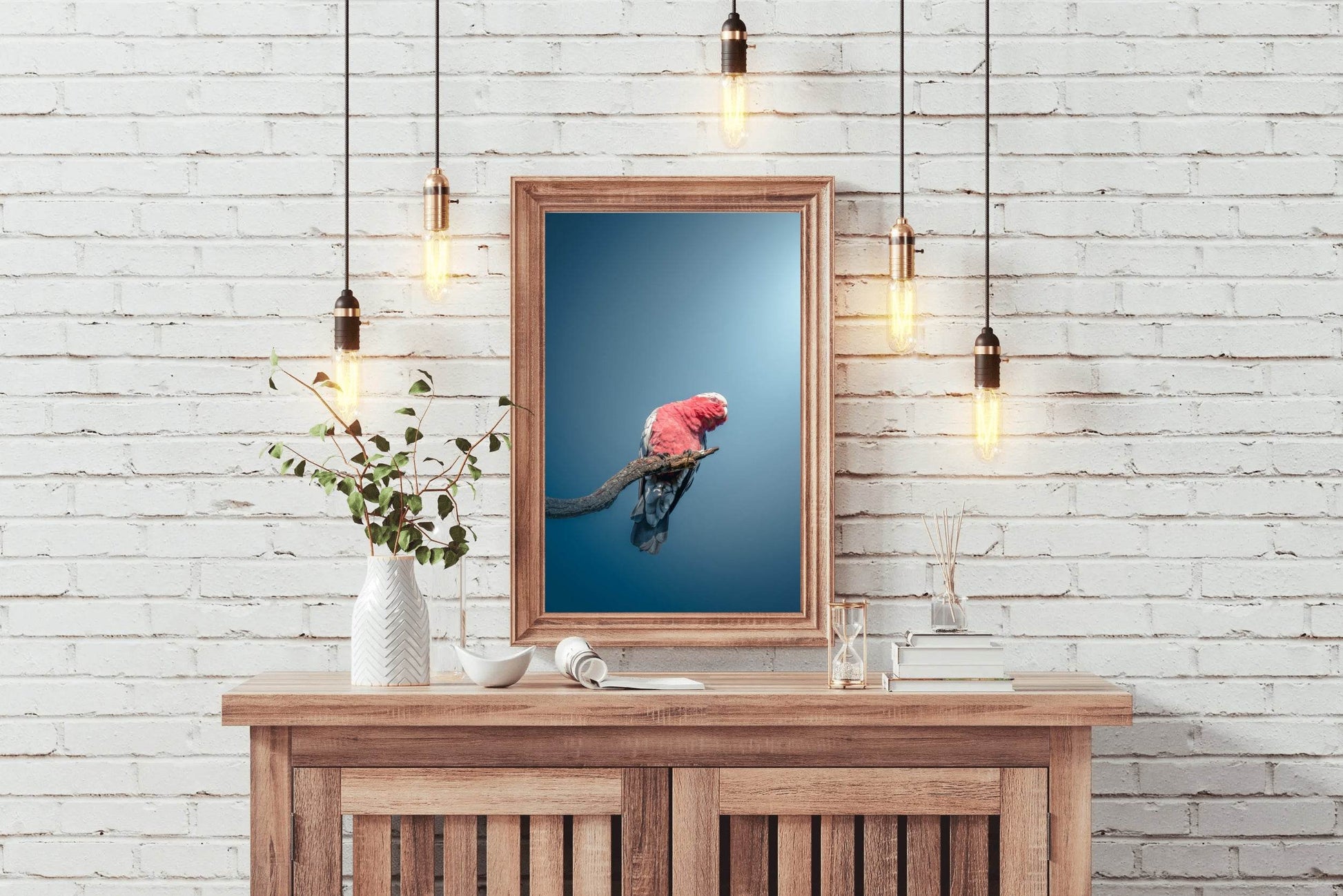 Galah Bird Wall Art - beink online art store