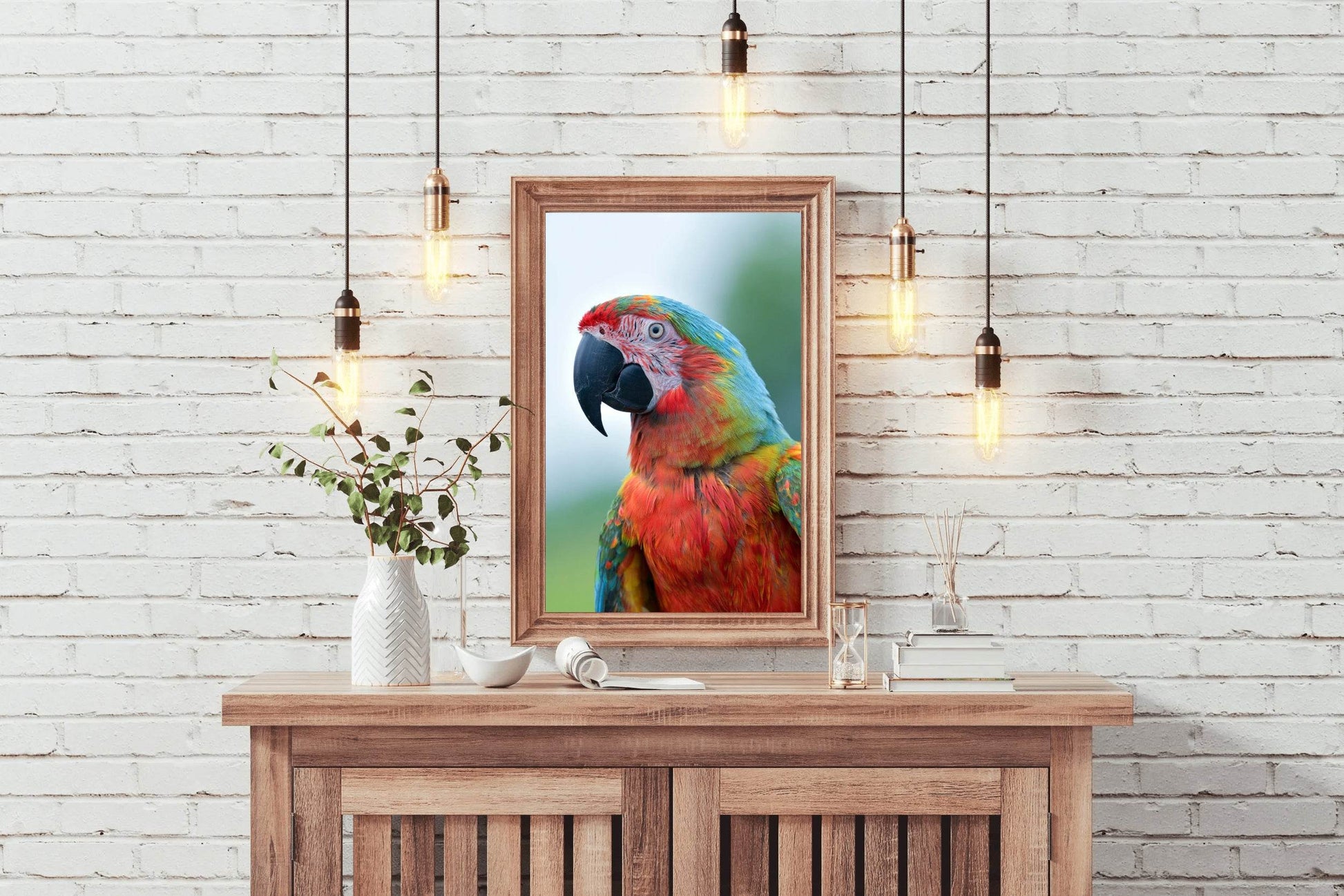 Beautiful Macaw Parrot Wall Art - beink online art store