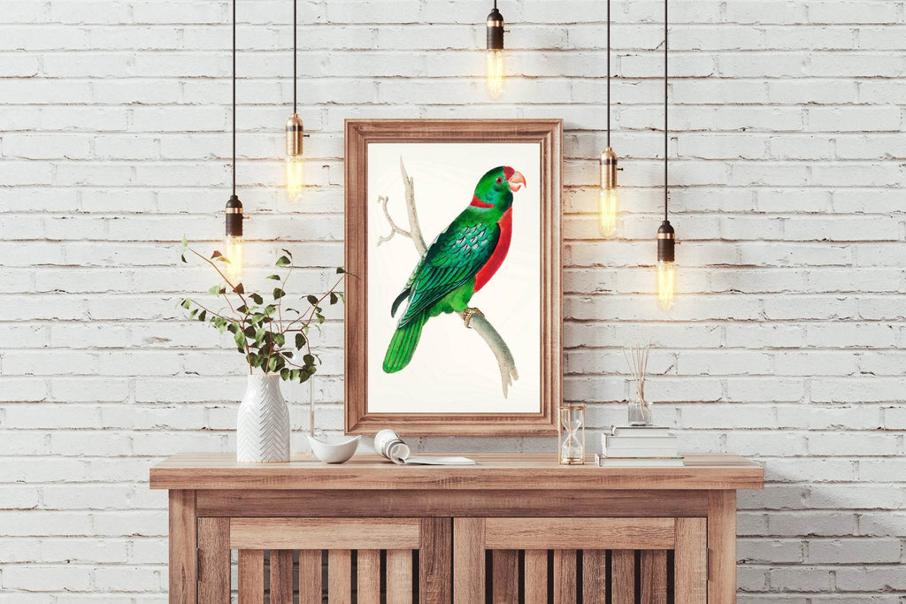 Watorcolor Painting of Green Parrot Wall Art - beink online art store