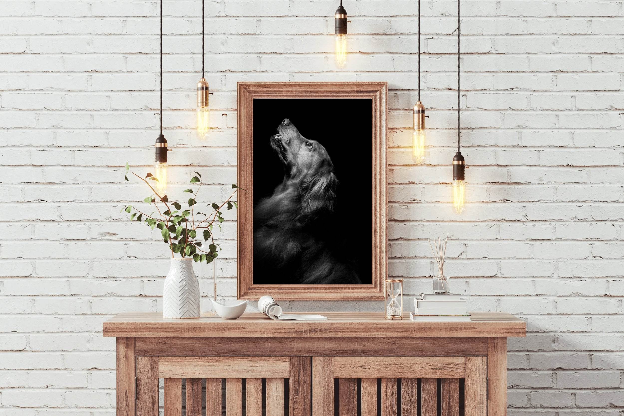 Flat-Coated Retriever Black & White Wall Art - beink online art store