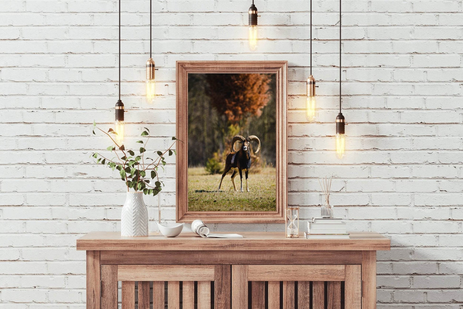 European Mouflon Animal Wall Art - beink online art store