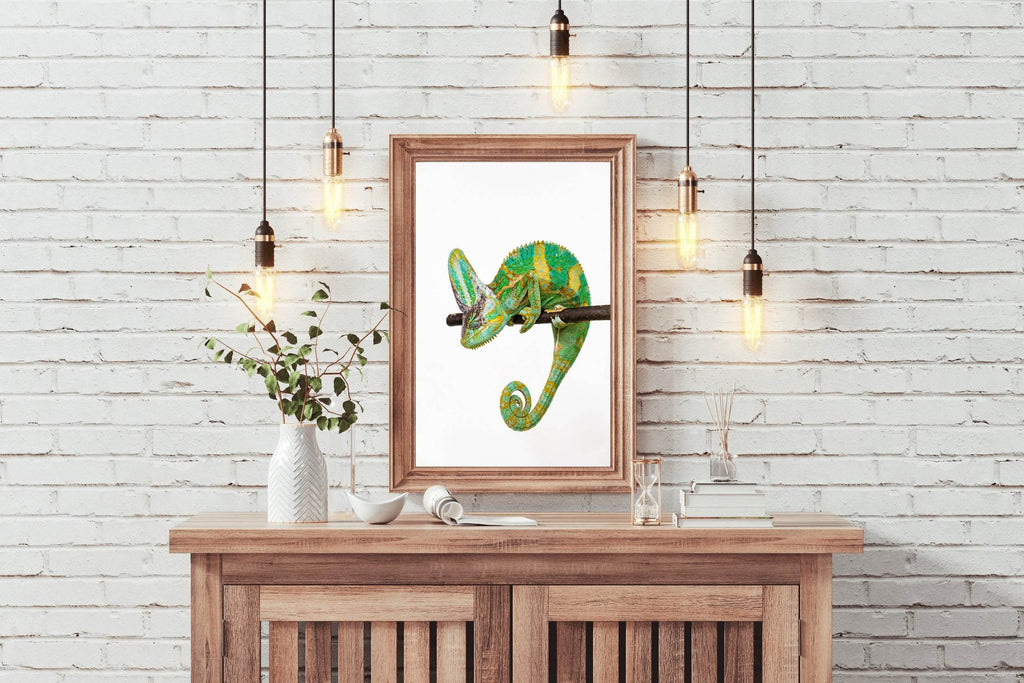 Veiled Chameleon Animal Wall Art - beink online art store