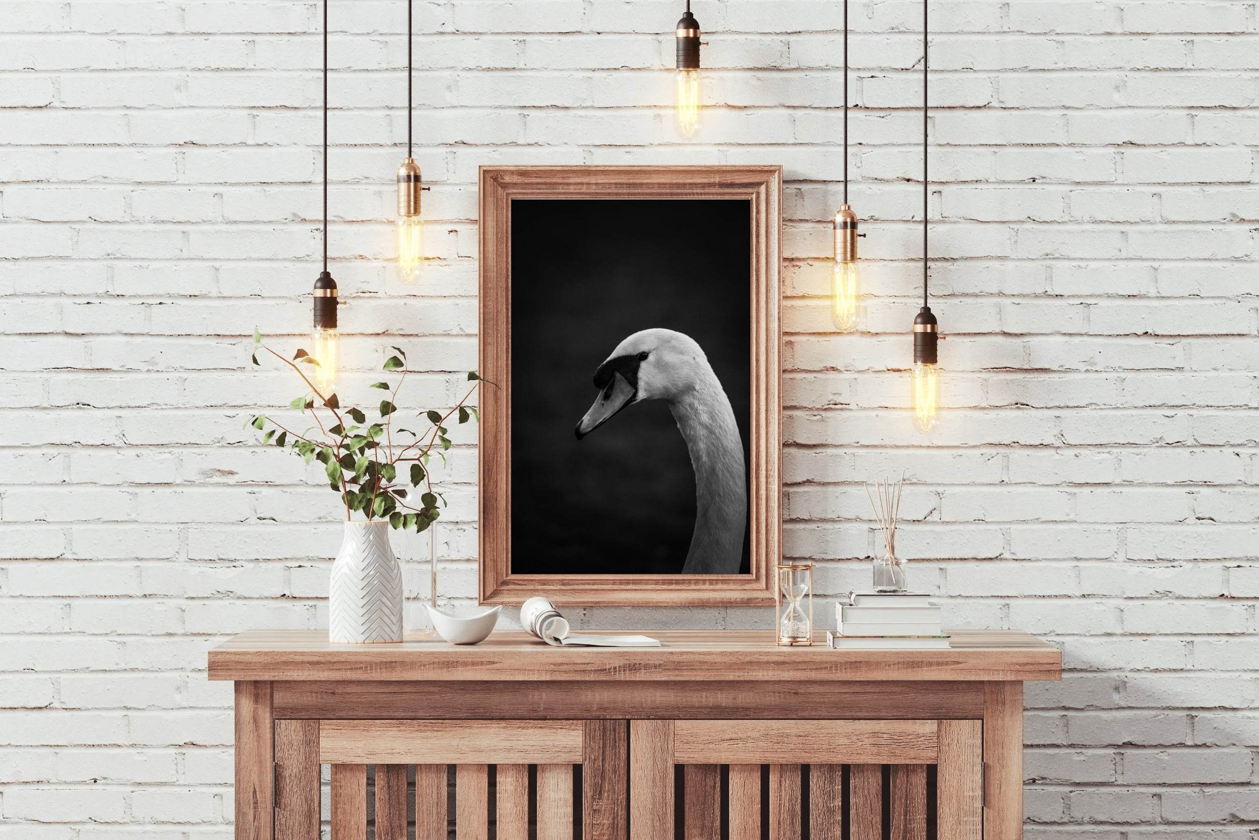 Mute Swan Black & White Wall Art - beink online art store