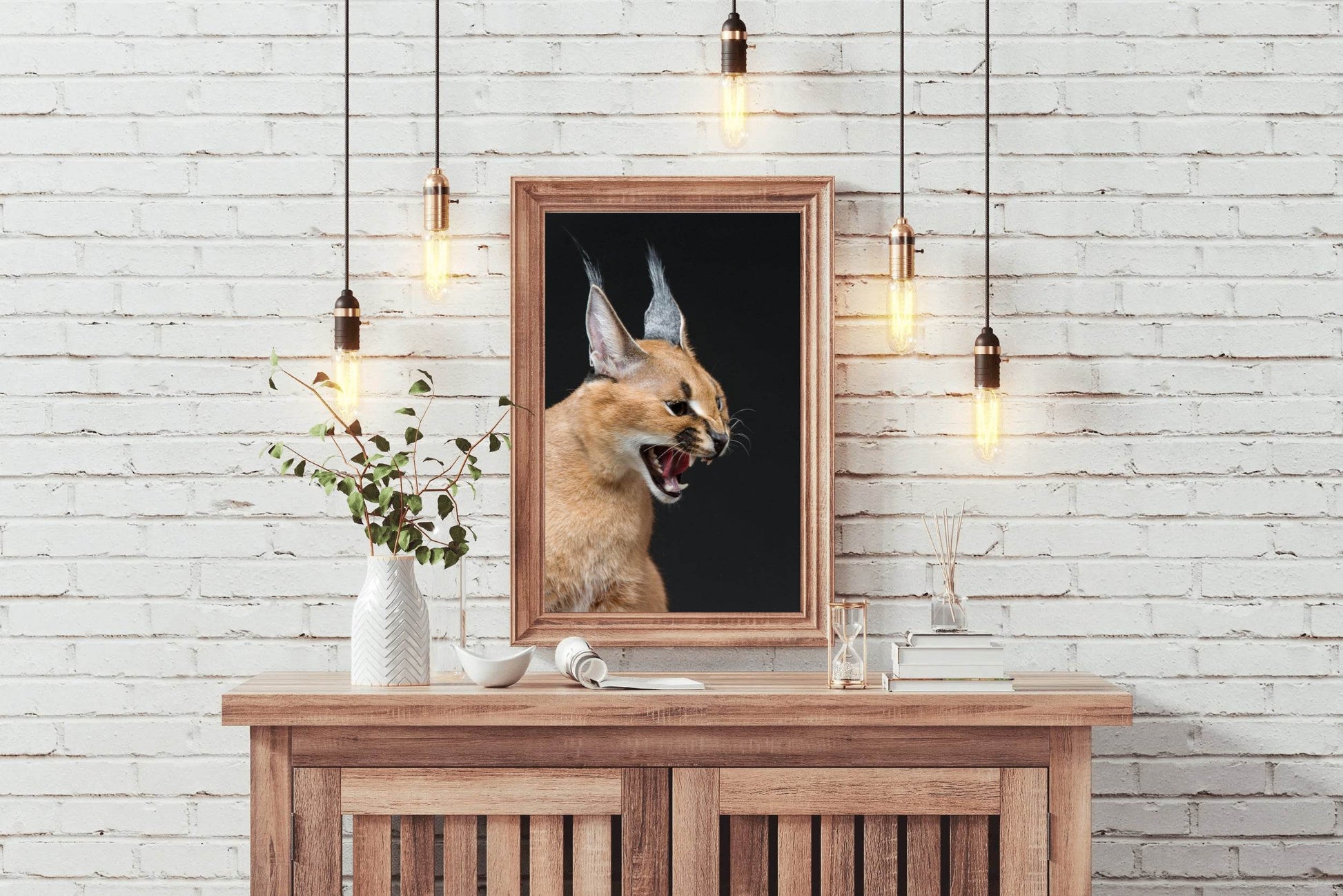 Caracal Wild Cat Animal Wall Art - beink online art store