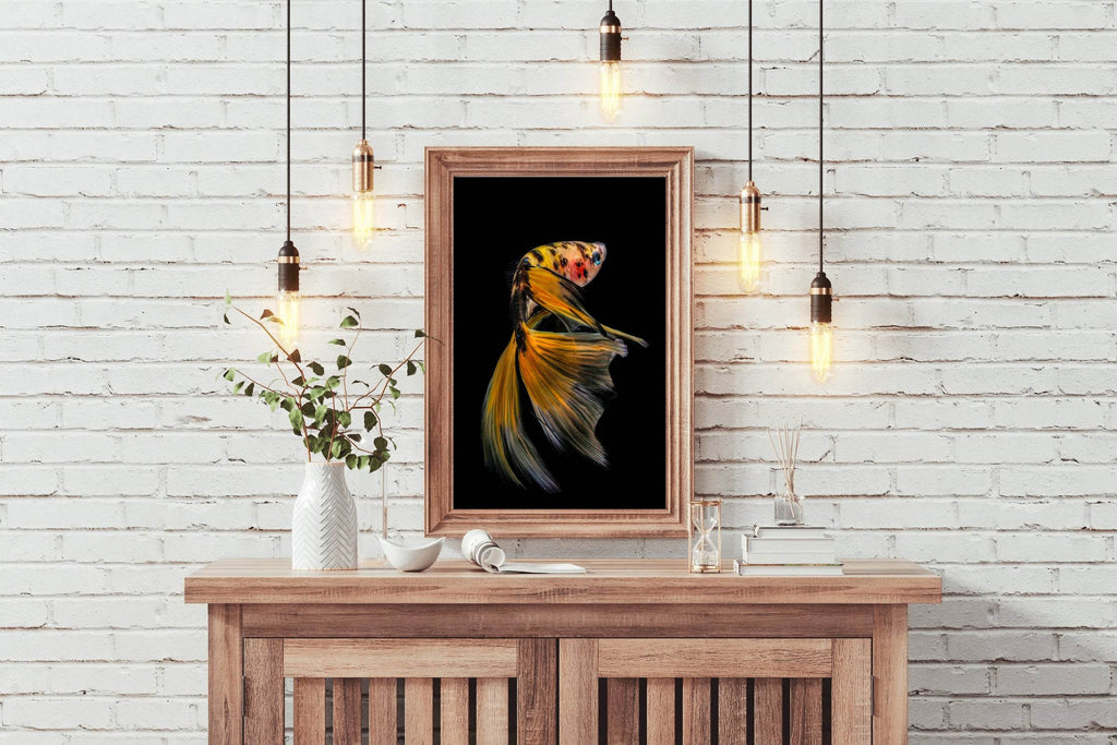 Siamese Fighting Fish Picture Wall Art - beink online art store