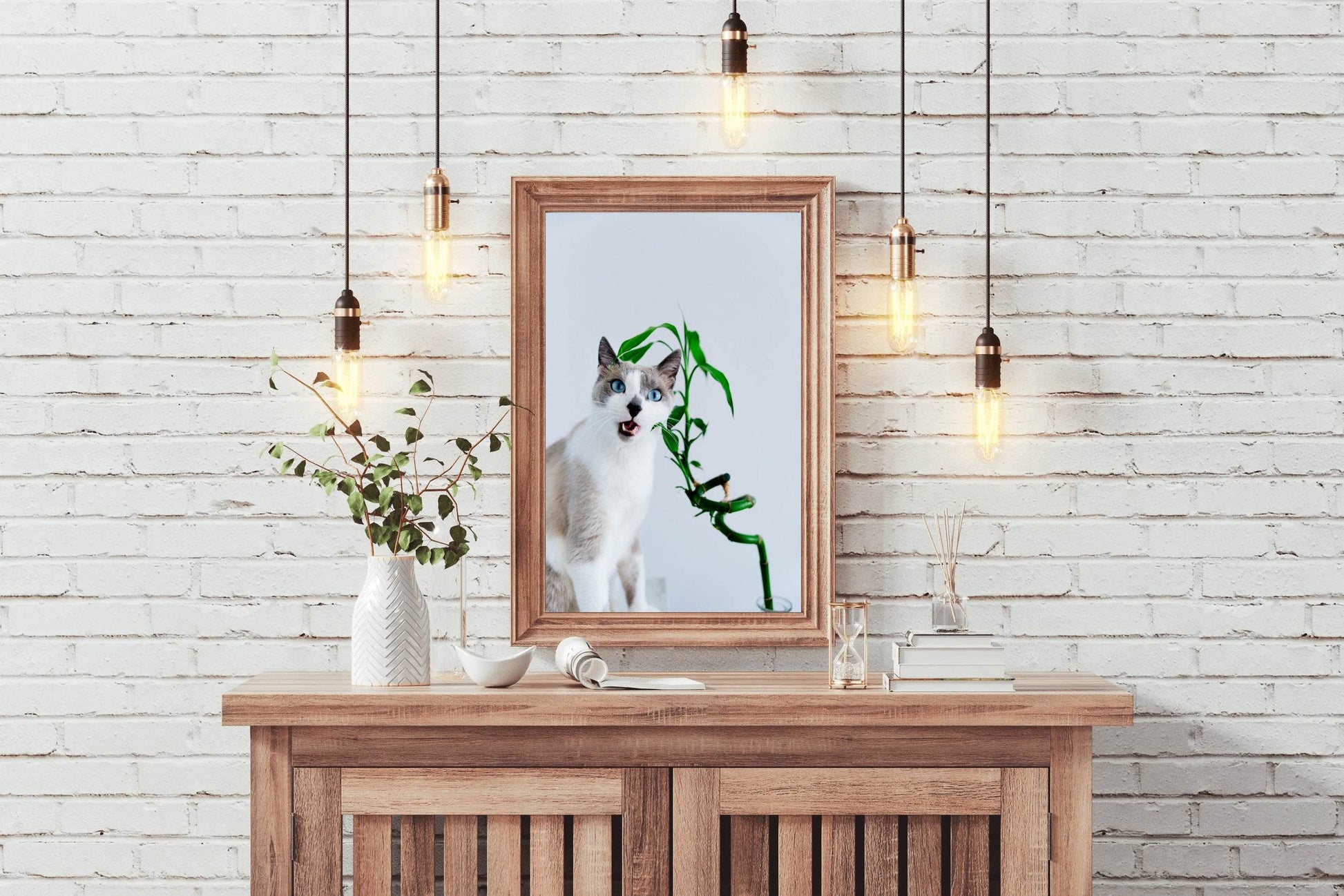 Siamese Cat Animal Wall Art - beink online art store