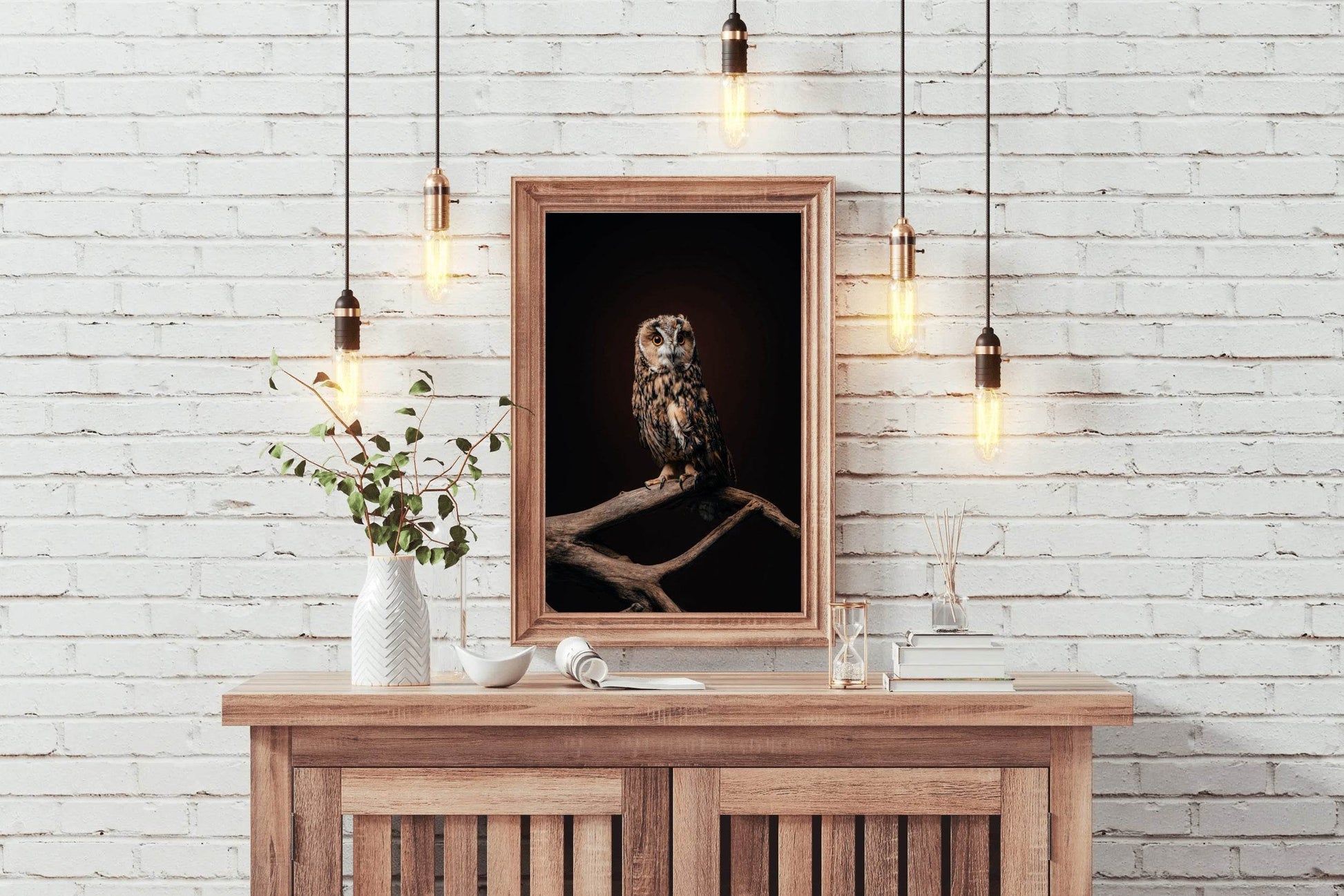 Long-Eared Owl Bird Wall Art - beink online art store