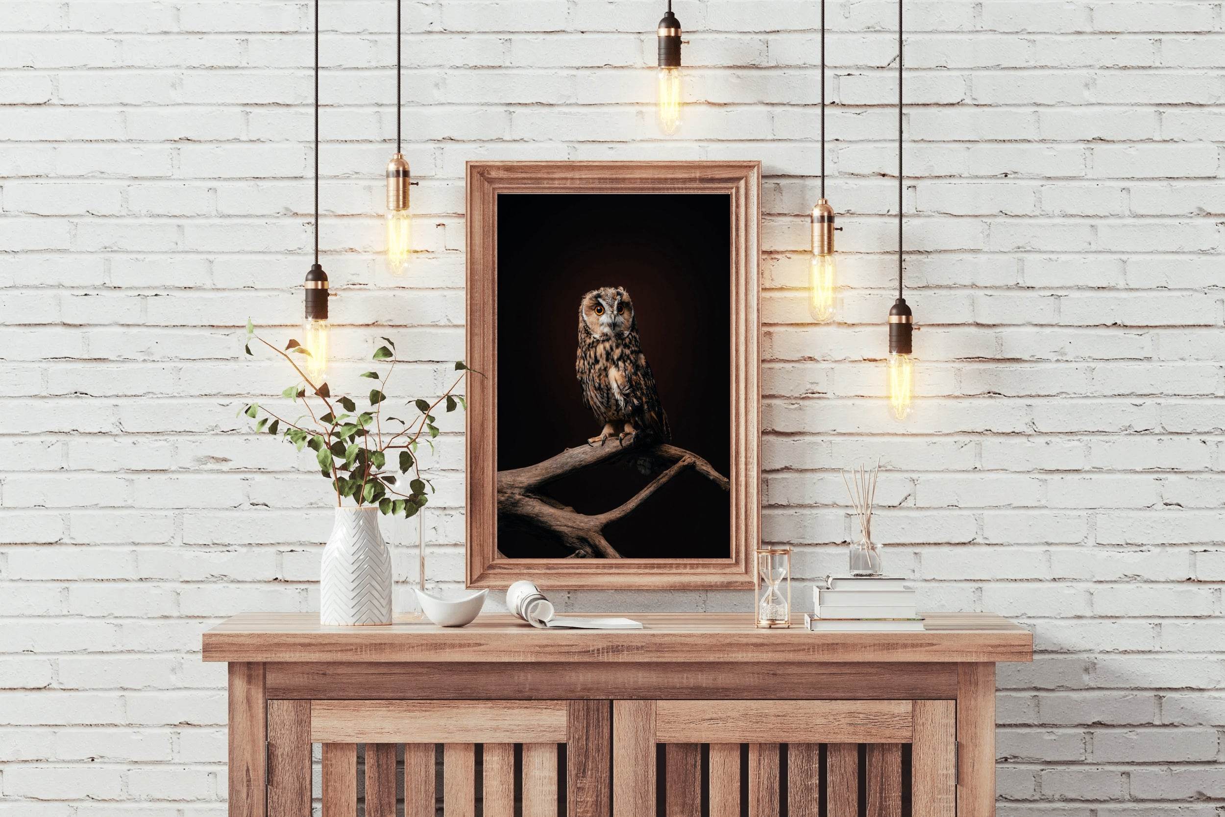 Long-Eared Owl Bird Wall Art - beink online art store