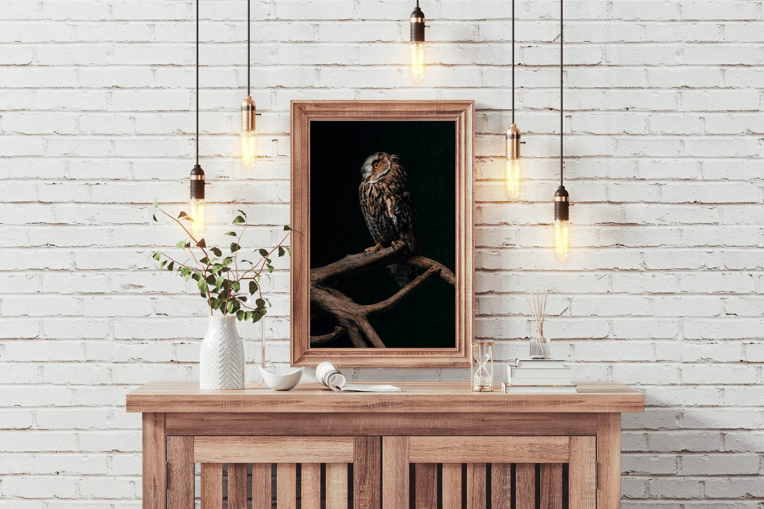 Long-Eared Owl Sitting on Branch Wall Art - beink online art store