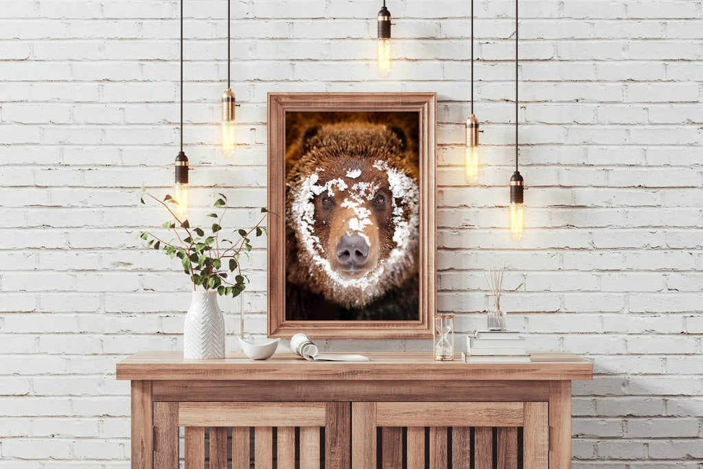 Grizzly Bear Animal Wall Art - beink online art store