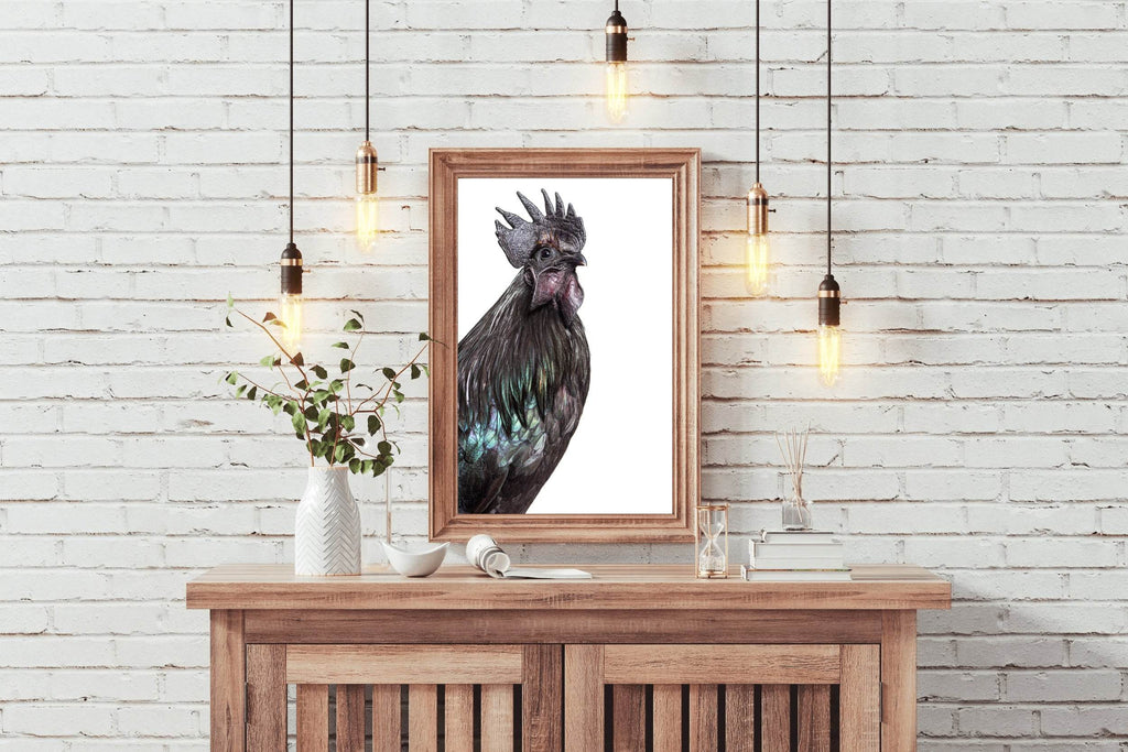 Ayam Cemani Bird Wall Art - beink online art store