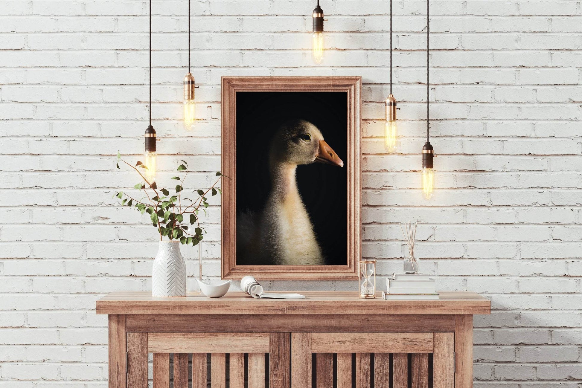 Domestic Goose Wall Art - beink online art store