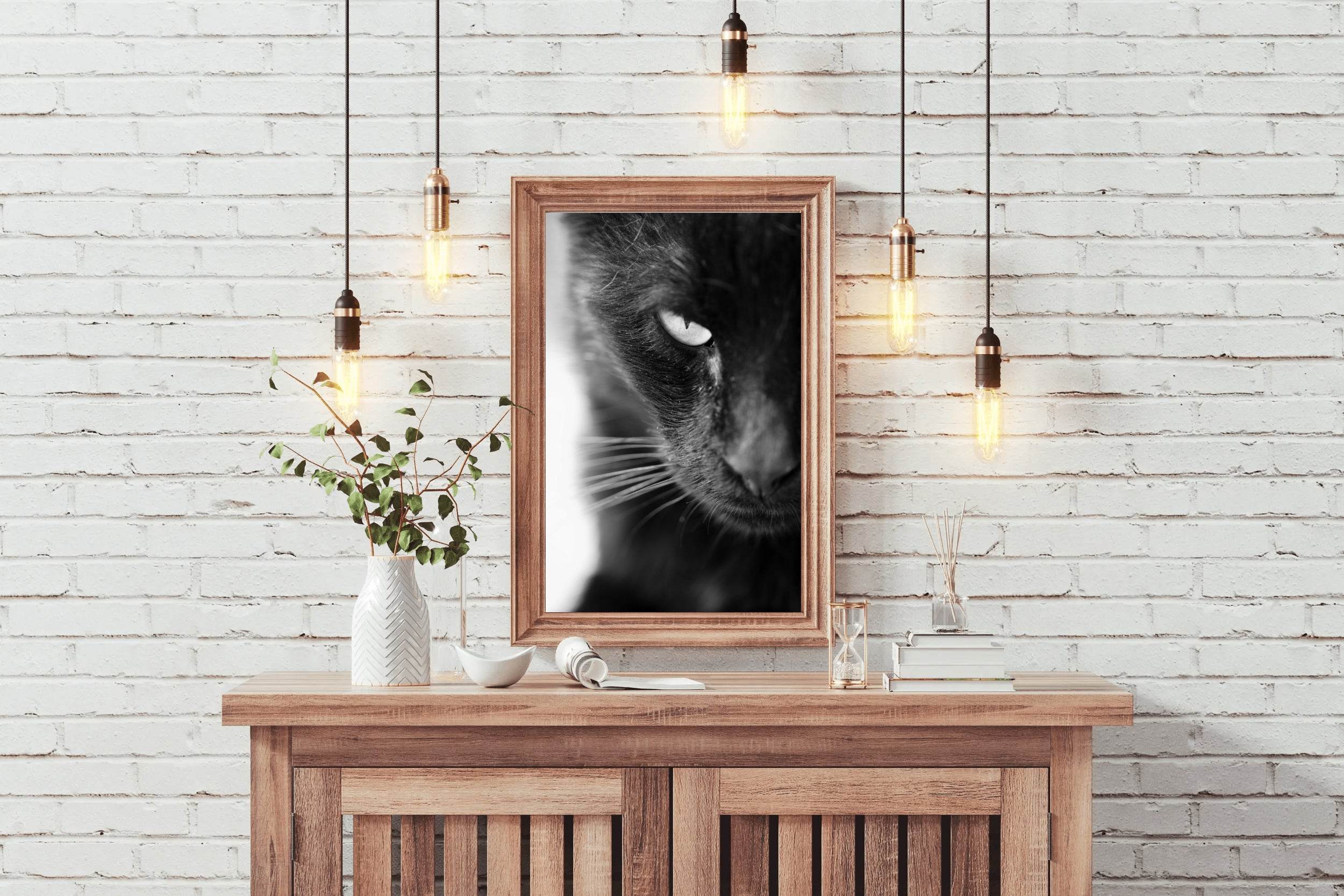 Static Eyes Cat Black & White Wall Art - beink online art store