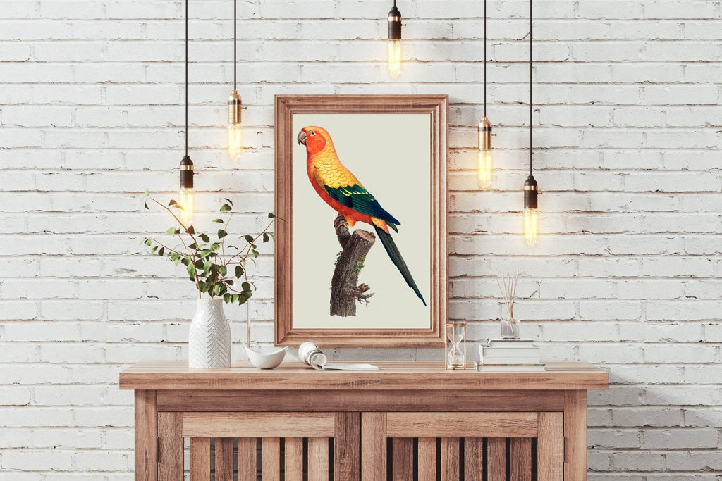 Painting of Sun Conure Parrot Wall Art - beink online art store