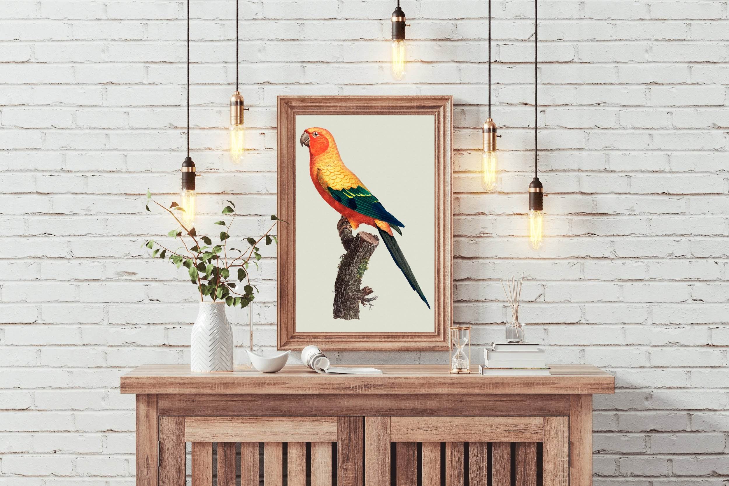Painting of Sun Conure Parrot Wall Art - beink online art store