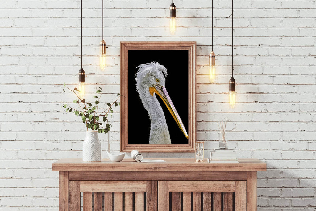 Picture of White Dalmatian Pelican - beink online art store