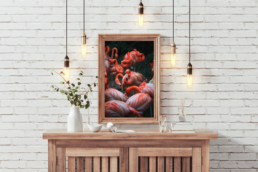 American Flamingo Bird Wall Art - beink online art store
