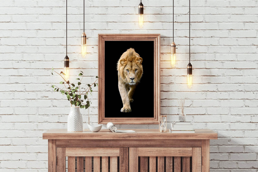 Asiatic Lion Animal Wall Art - beink online art store