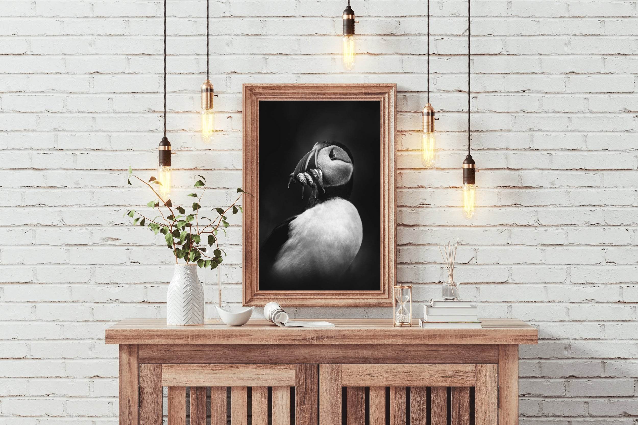 Atlantic Puffin Black & White Wall Art - beink online art store