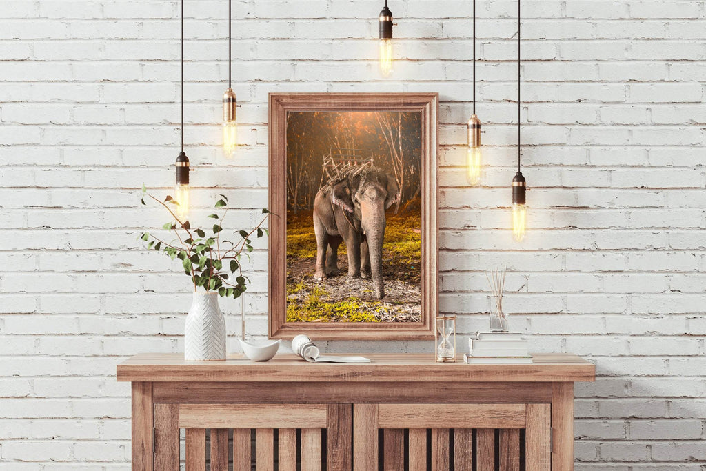 Indian Elephant Animal Wall Art - beink online art store