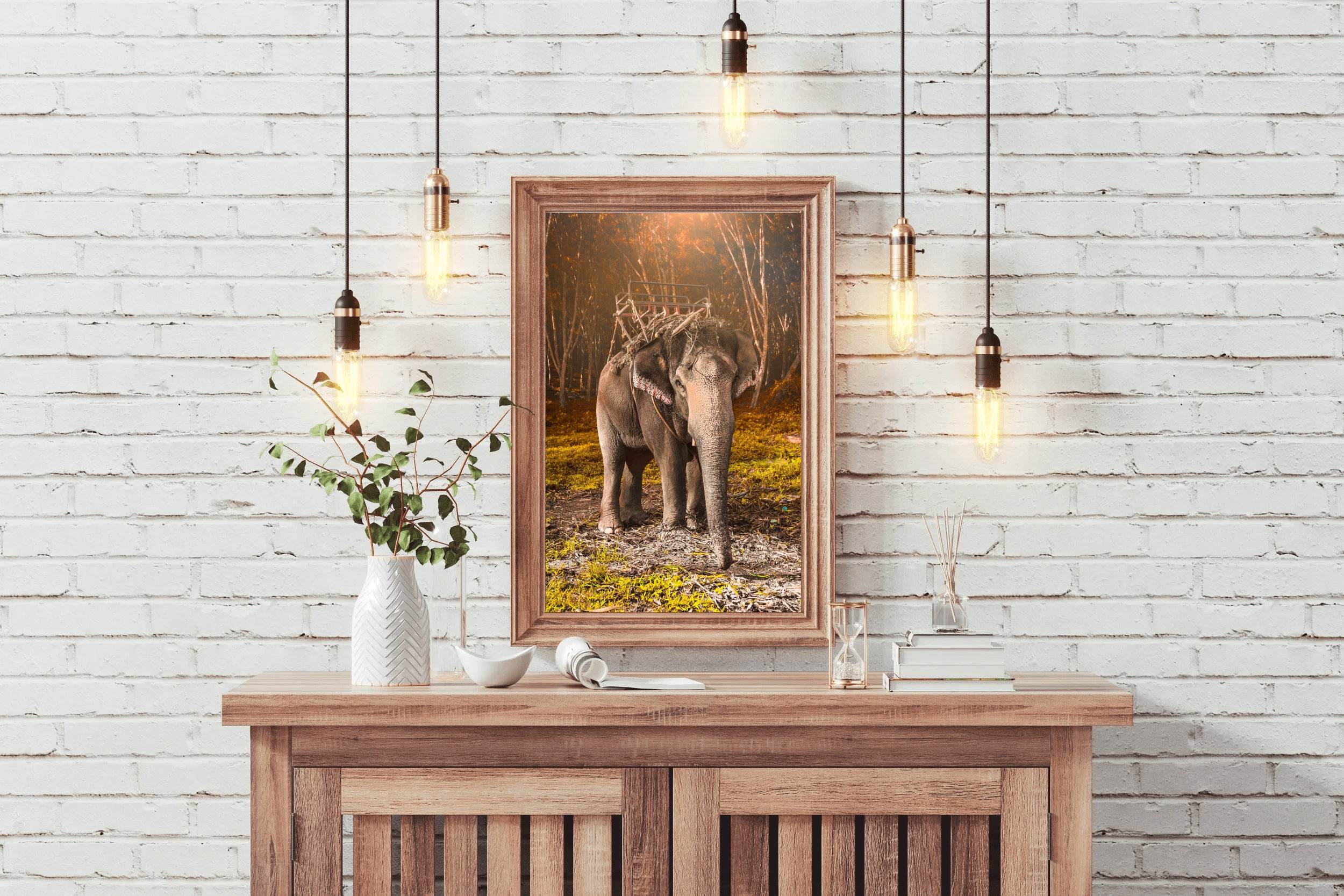 Indian Elephant Animal Wall Art - beink online art store