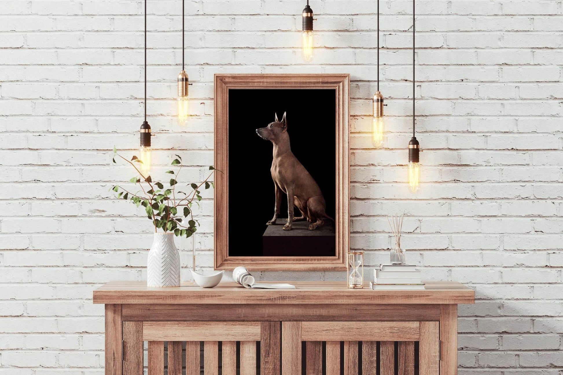 Peruvian Inca Orchid Dog Picture Wall Art - beink online art store