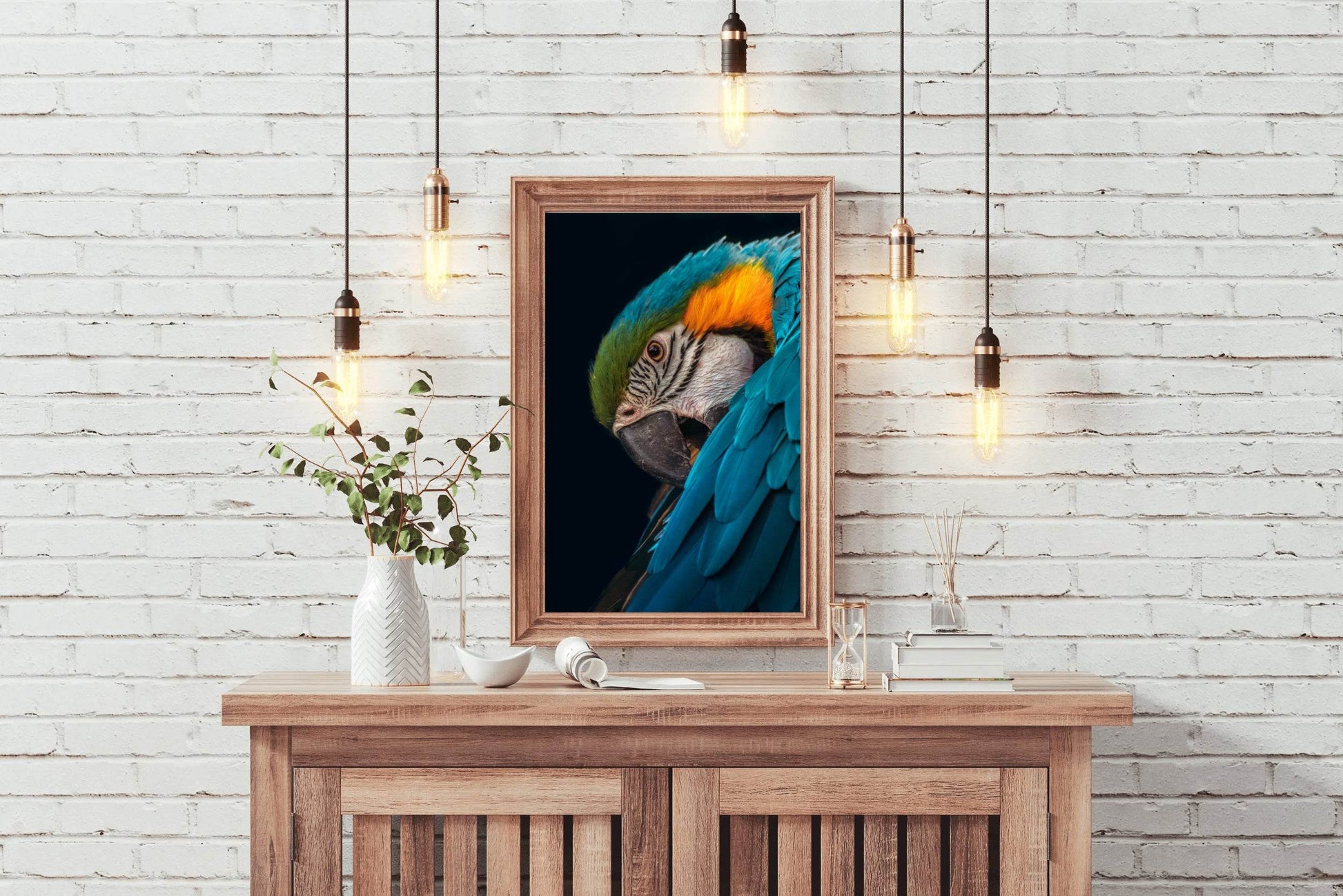 Closeup of Macaw Bird Wall Art - beink online art store