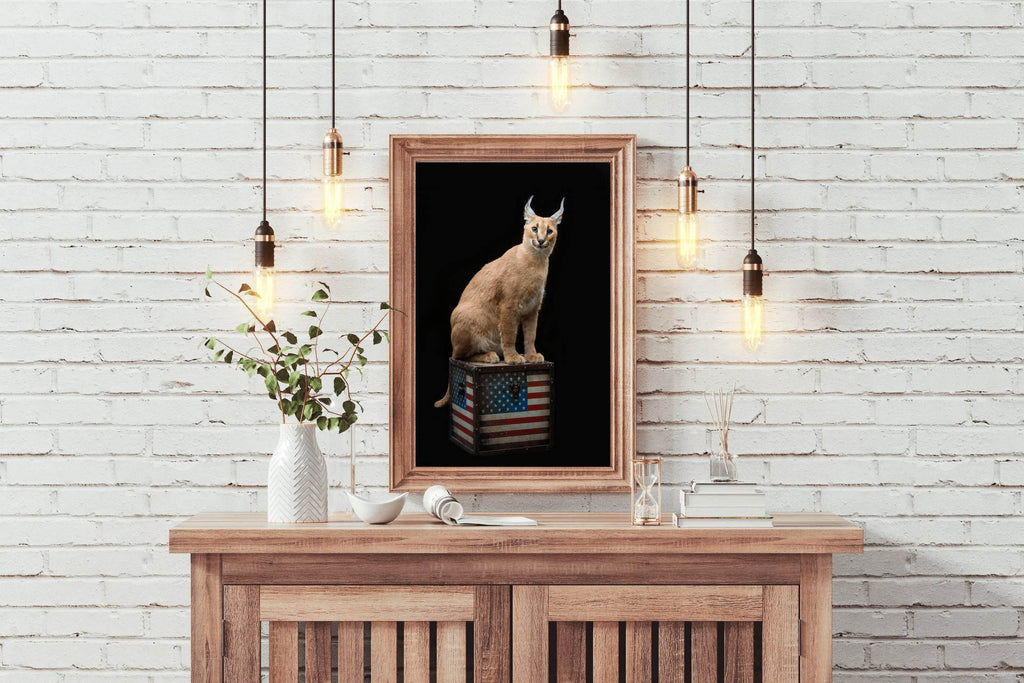 Caracal Wild Cat Animal Wall Art - beink online art store