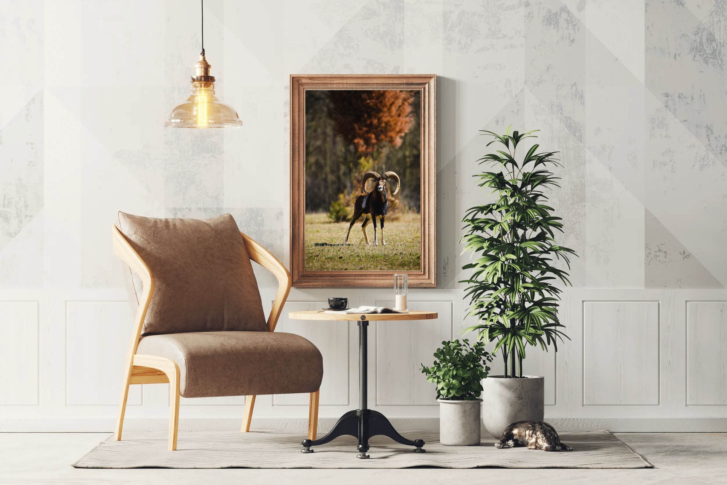 European Mouflon Animal Wall Art - beink online art store