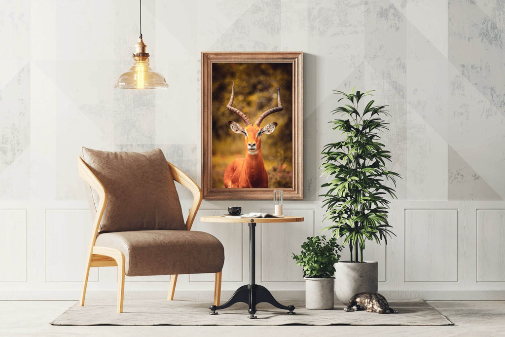 Impala Animal Wall Art - beink online art store