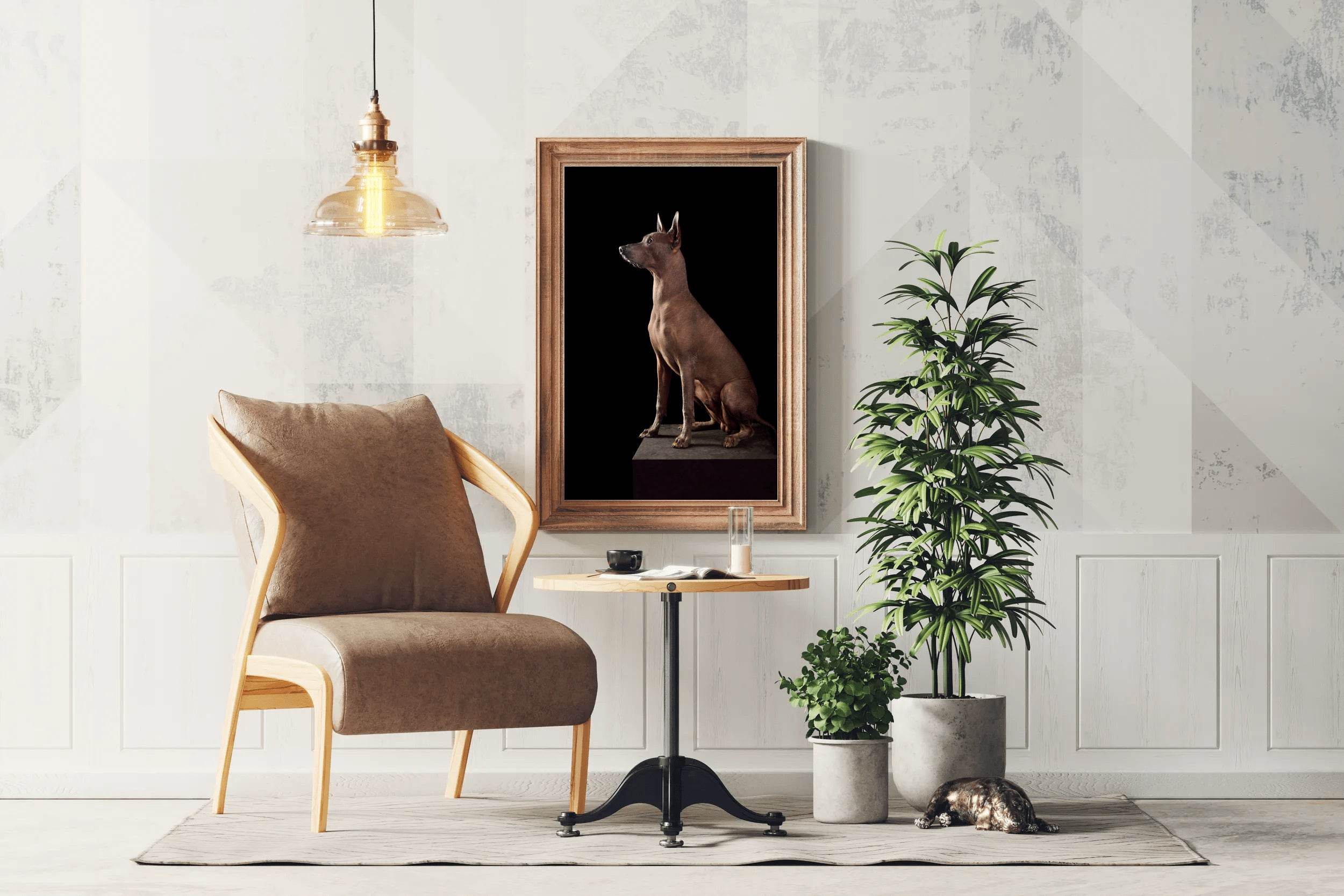 Peruvian Inca Orchid Dog Picture Wall Art - beink online art store
