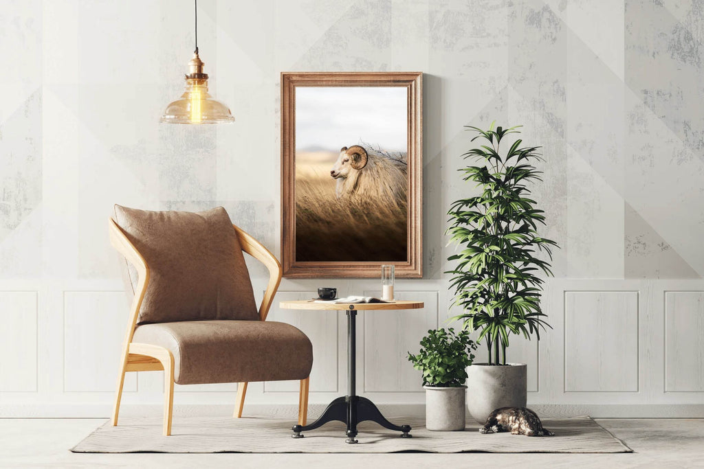 Icelandic Sheep Animal Wall Art - beink online art store