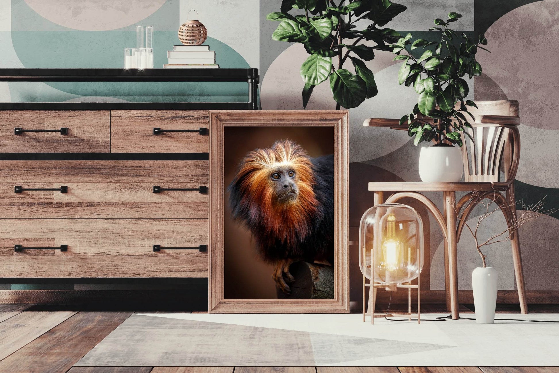 Golden Marmoset Monkey Wall Art - beink online art store